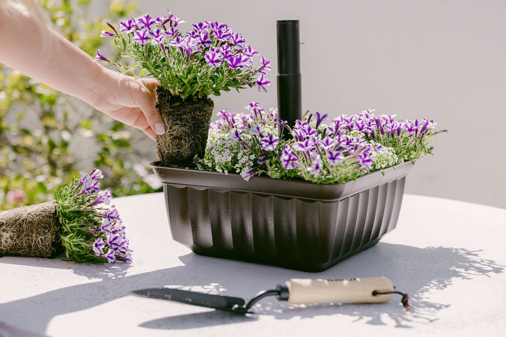 Square Savannah Planter - Brown – Savannah Planters
